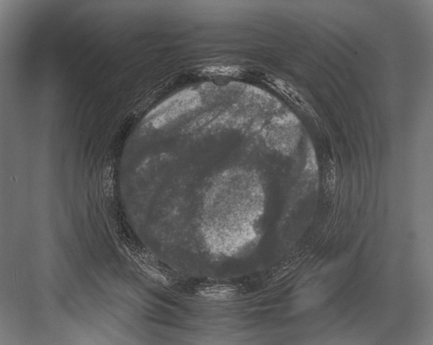 X0000081570551200702121424