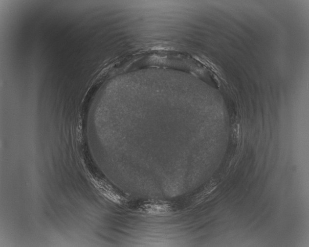 X0000081570552200702121424