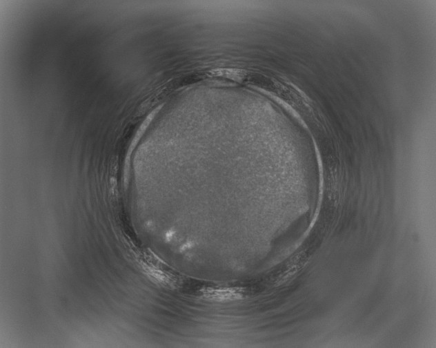 X0000081570553200702121424