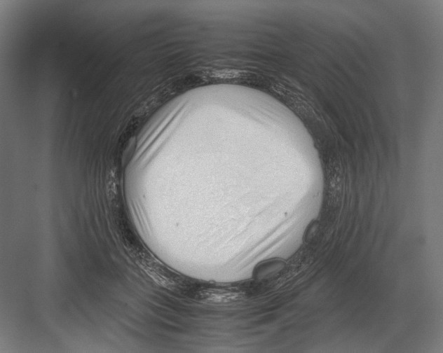 X0000081570555200702121424