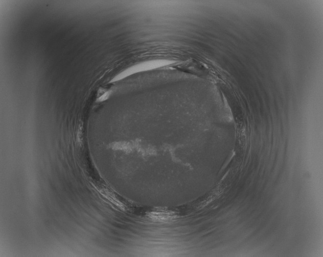 X0000081570556200702121424