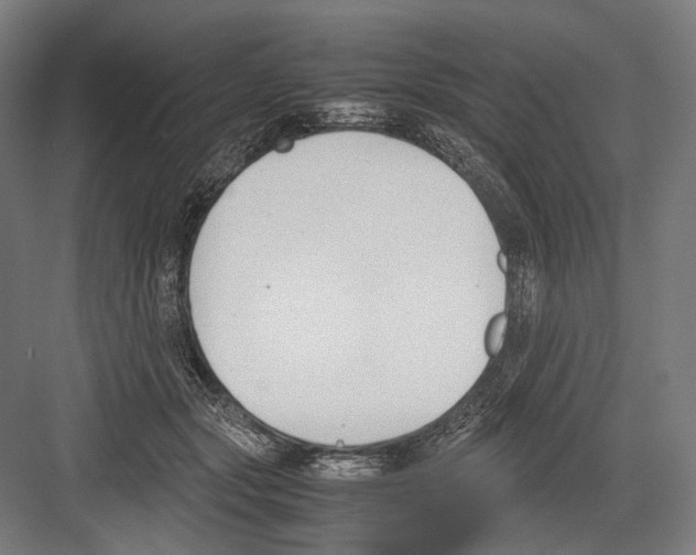 X0000081570557200702121424