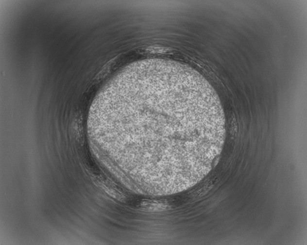 X0000081570559200702121424