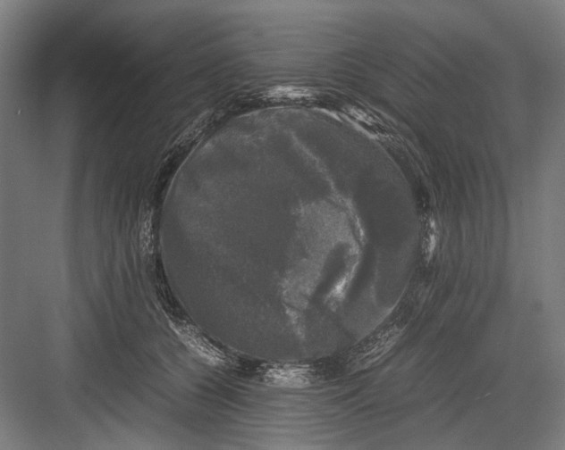 X0000081570560200702121424