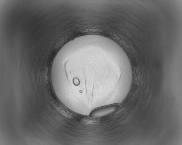 X0000081570563200702121425