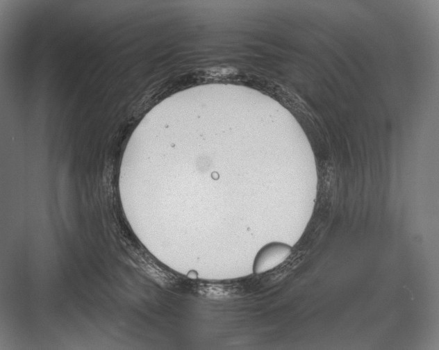 X0000081570565200702121425