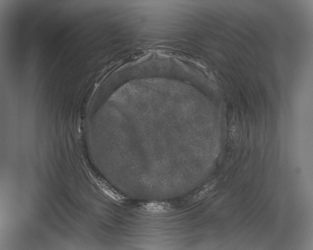 X0000081570566200702121425