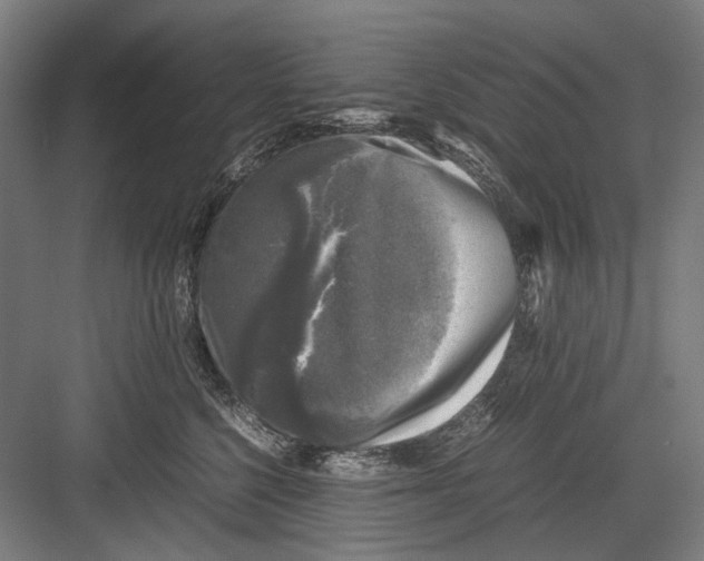 X0000081570568200702121425