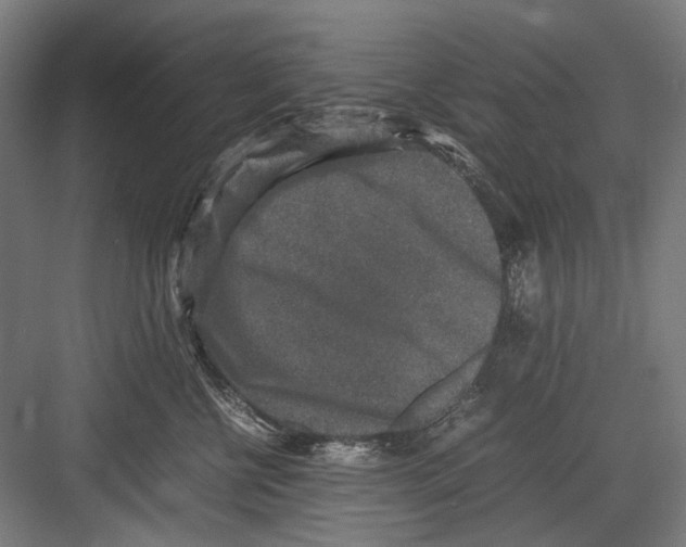 X0000081570570200702121425