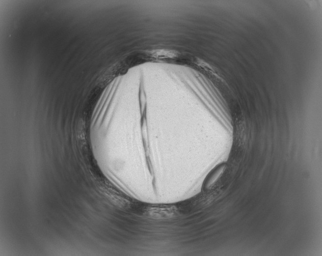 X0000081570571200702121425