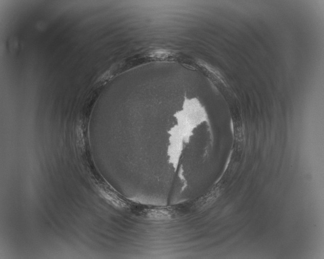 X0000081570572200702121425