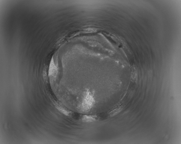 X0000081570573200702121425