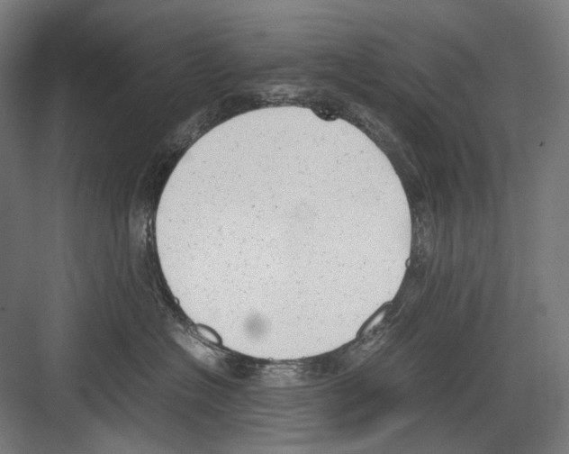 X0000081570574200702121425