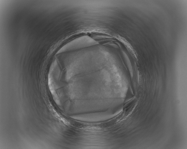 X0000081570577200702121424