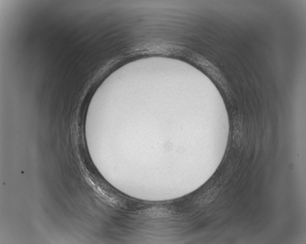 X0000081570578200702121424