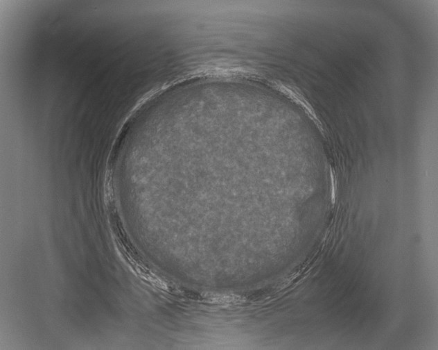 X0000081570579200702121424