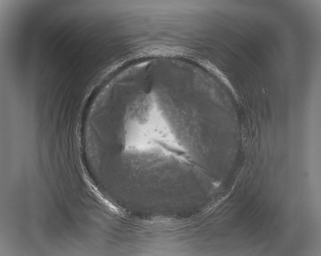 X0000081570581200702121424