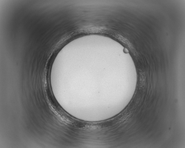 X0000081570582200702121424