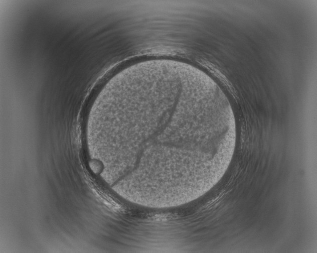 X0000081570584200702121424