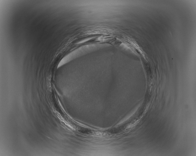 X0000081570585200702121424