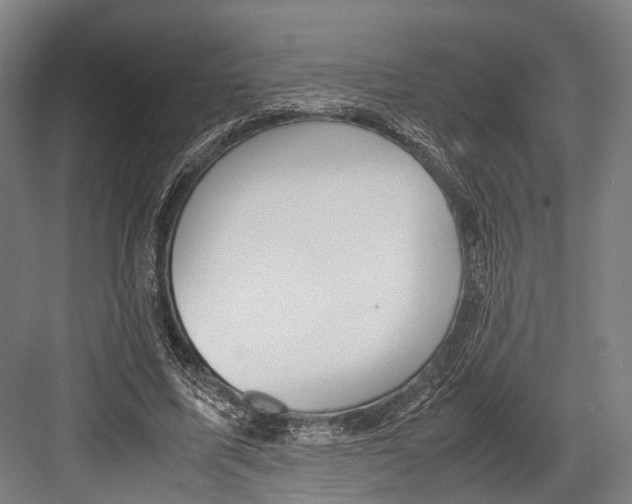 X0000081570587200702121424