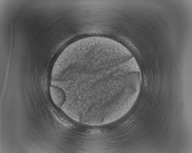 X0000081570588200702121424