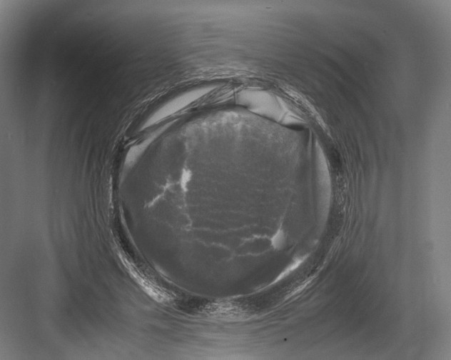 X0000081570589200702121424