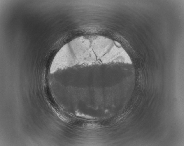 X0000081570590200702121424