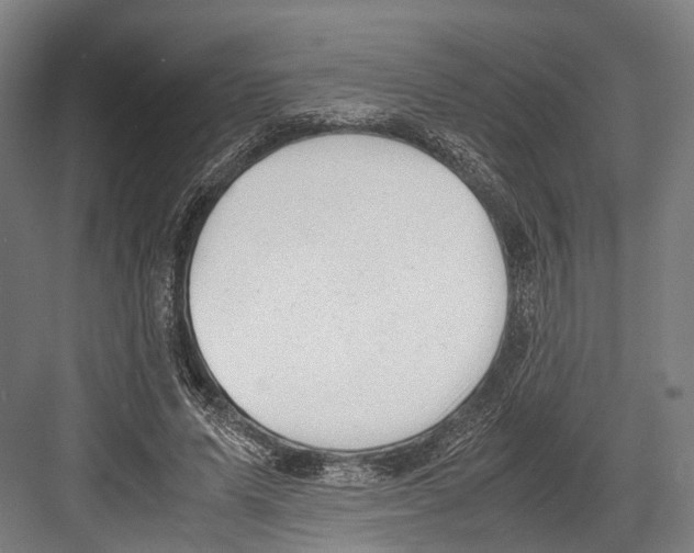 X0000081570591200702121424