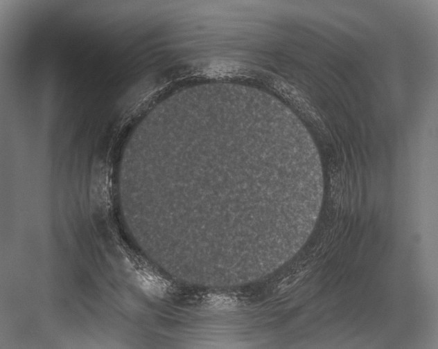 X0000081570592200702121424