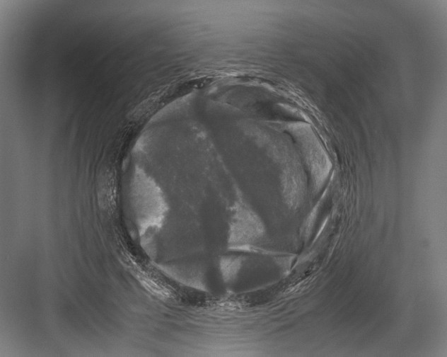 X0000081570593200702121424