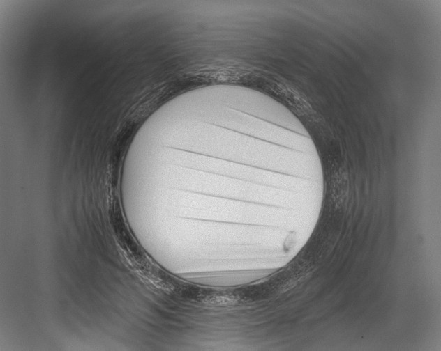 X0000081570594200702121424