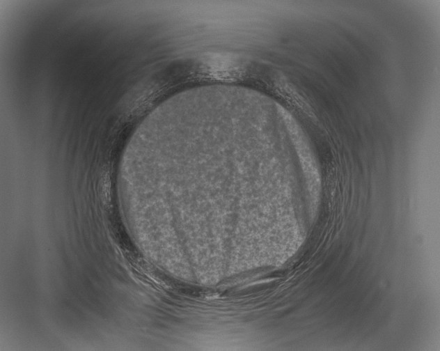 X0000081570595200702121424