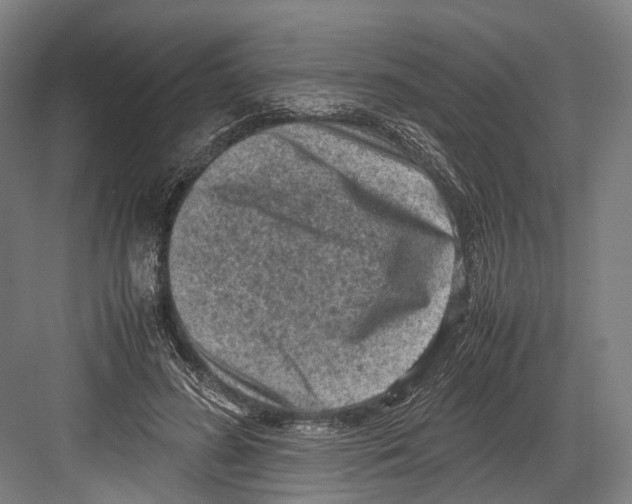 X0000081570596200702121424