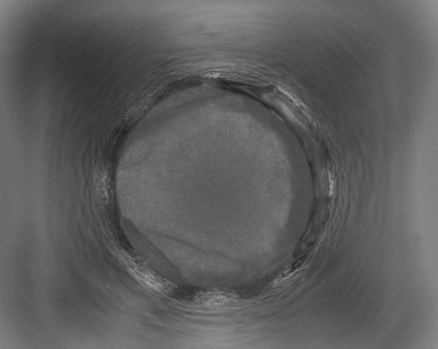 X0000081570597200702121424