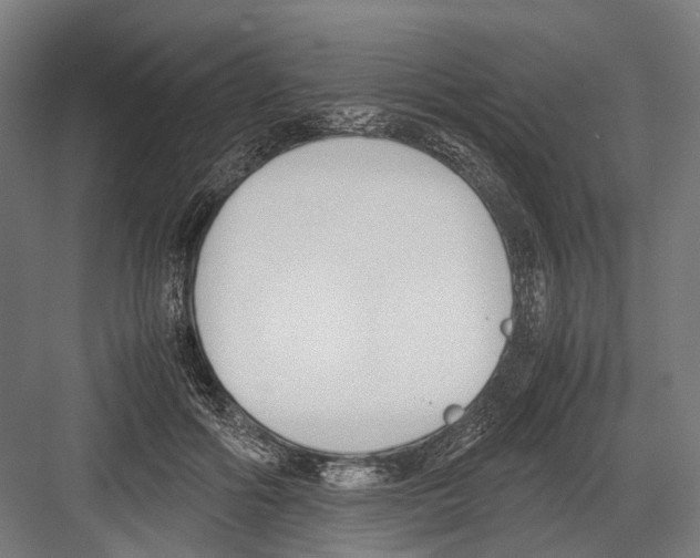 X0000081570602200702121424