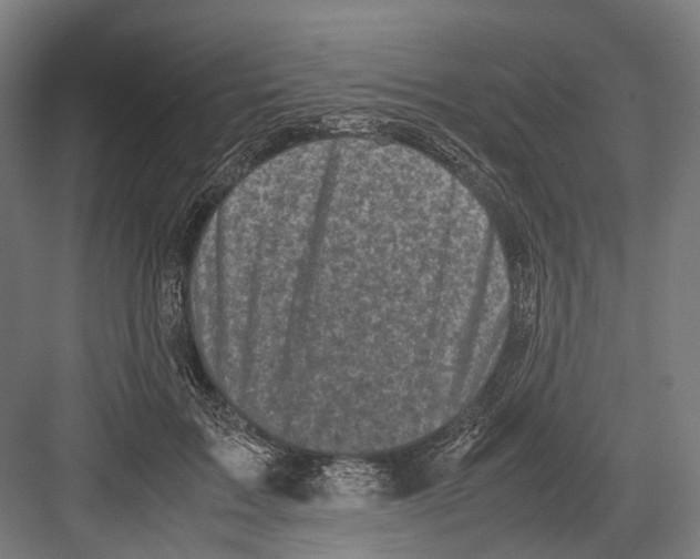 X0000081570603200702121424