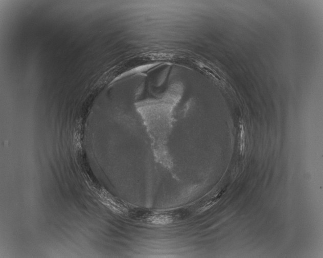 X0000081570604200702121423