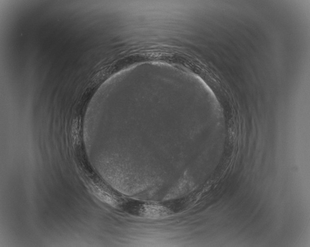 X0000081570605200702121423