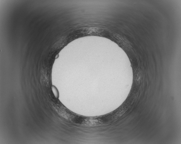 X0000081570607200702121423