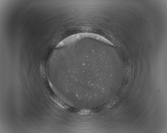 X0000081570609200702121423