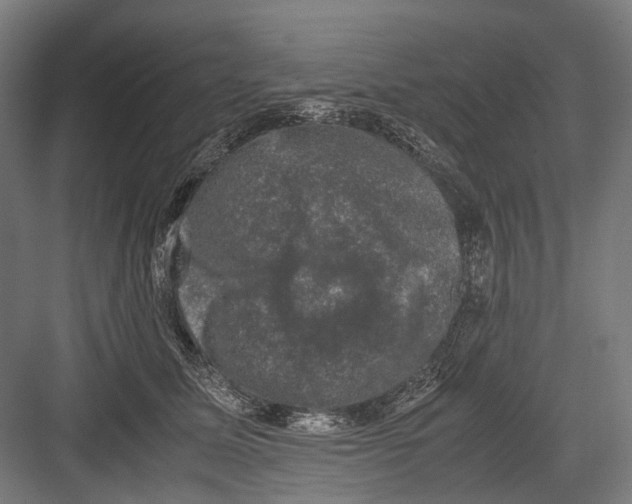 X0000081570611200702121423