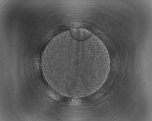 X0000081570612200702121423