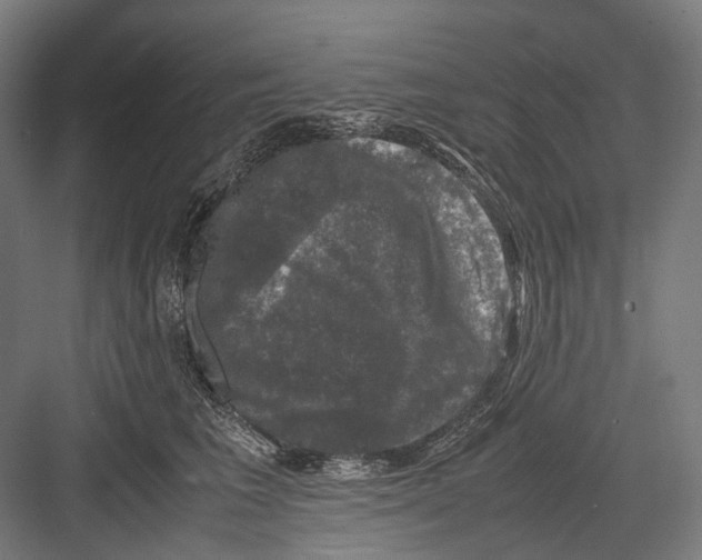 X0000081570613200702121423