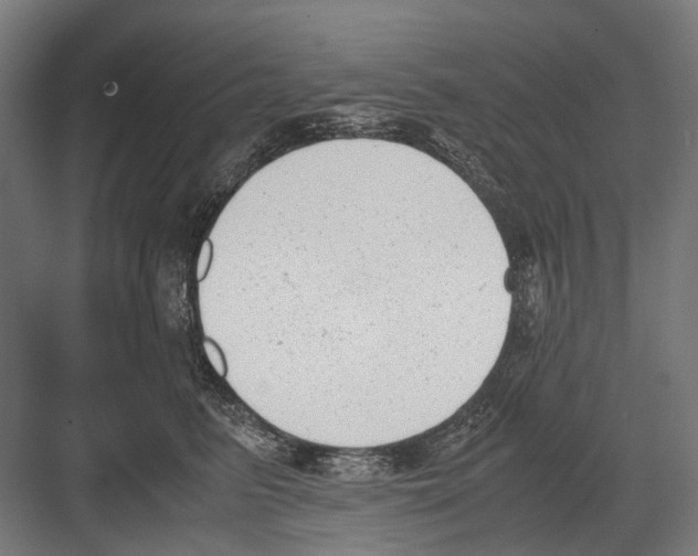 X0000081570615200702121423