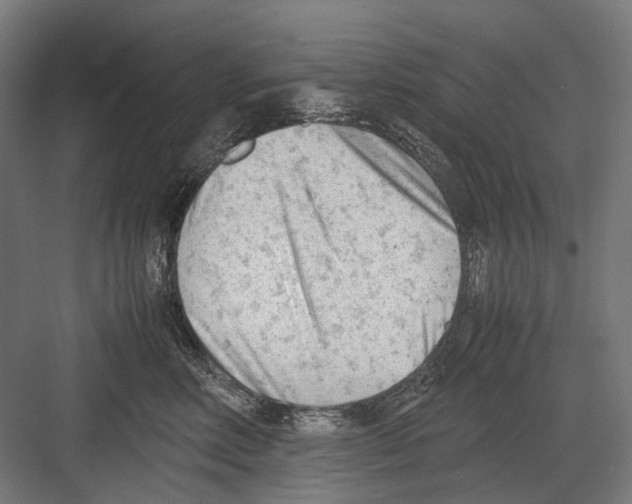 X0000081570618200702121423