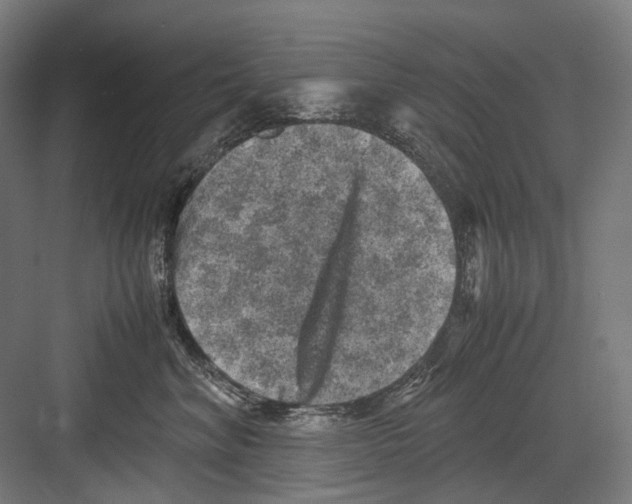 X0000081570620200702121423