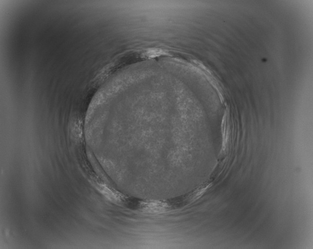 X0000081570621200702121423