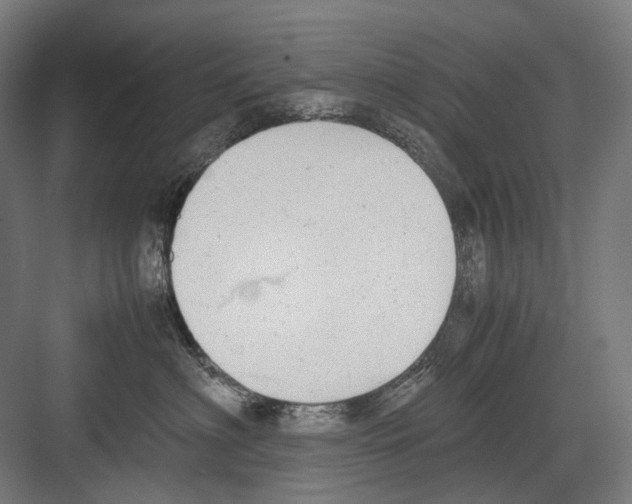 X0000081570622200702121423