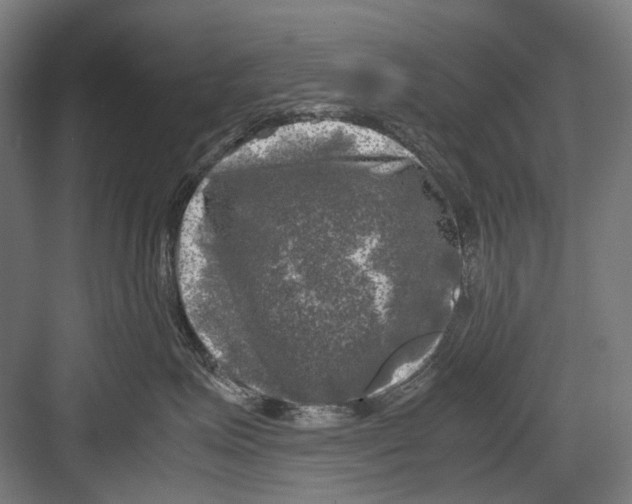 X0000081570623200702121423